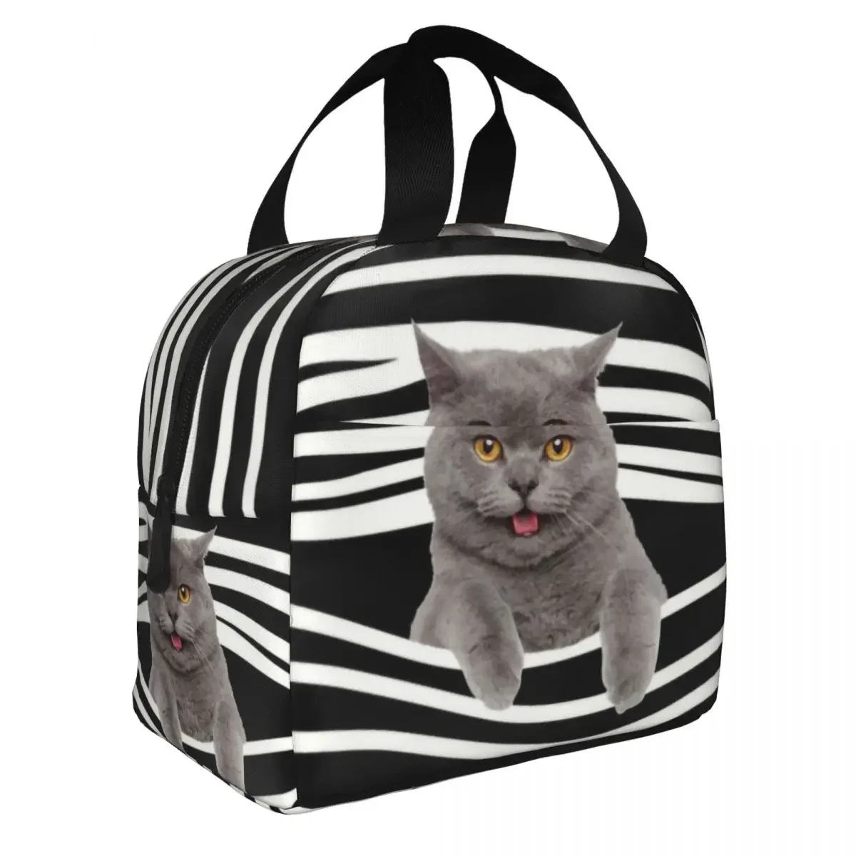 Britânico shorthair gato listras térmico isolado almoço saco feminino portátil almoço tote para trabalho escolar comida bento caixa