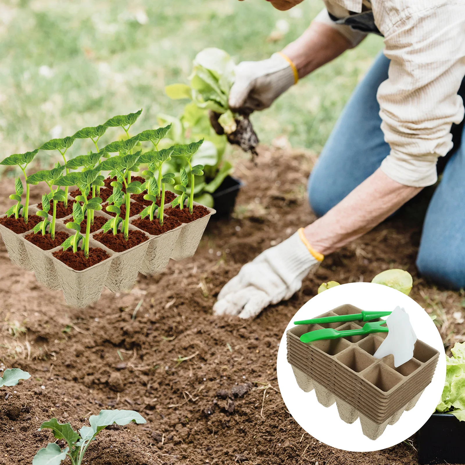

12 grid Nursery Pot Set Planting Container for Growing Gardening Plants Flowers Home Starting Perforated Cup Soil Seedlings
