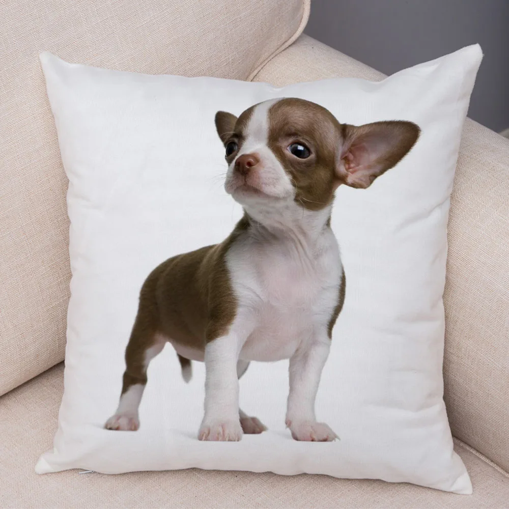 Cushion Cover Car Sofa Home Pillowcase Cute Pet Animal  Decoration Puppy Chihuahua