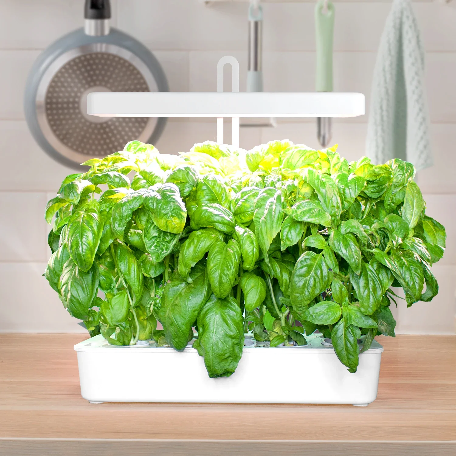 J&C Minigarden Morino Indoor Smart Hydroponic Garden Home Growing System Free Shipping In US