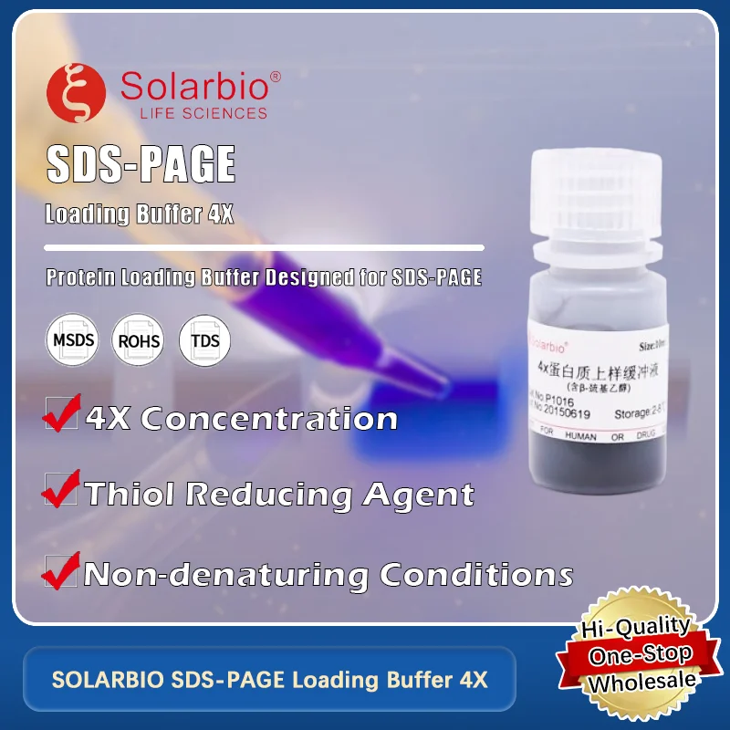 

SOLARBIO SDS-PAGE Loading Buffer 4X with Reducing Agent for Protein Electrophoresis Applications Original Product