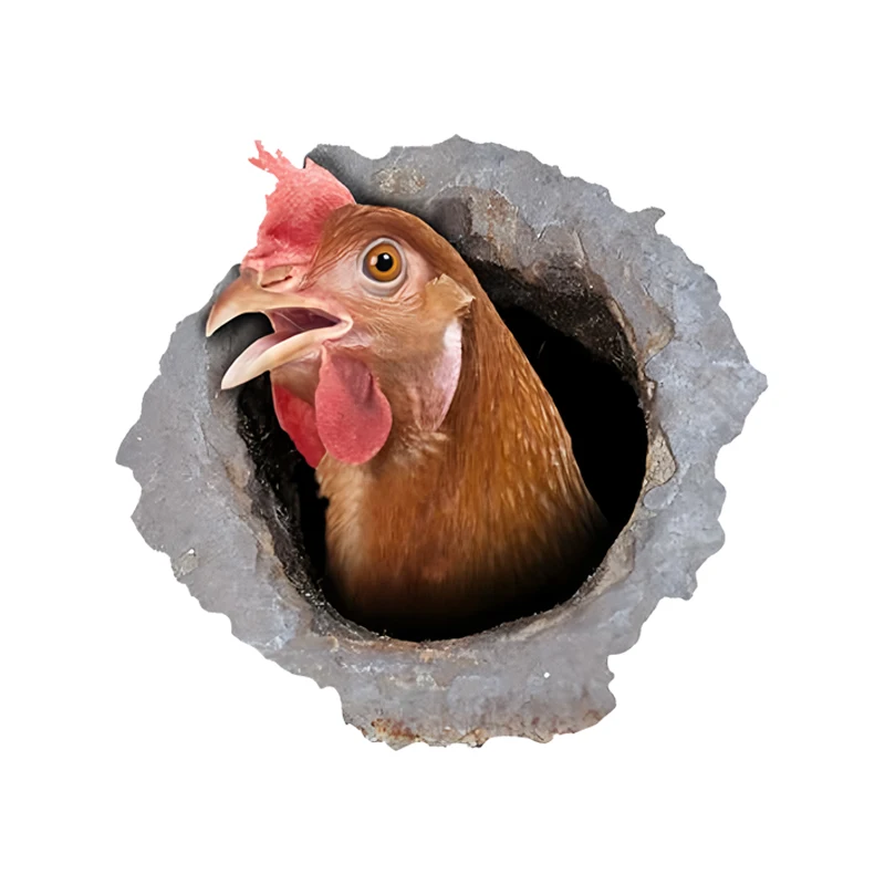 DK499# Chicken Car … - image