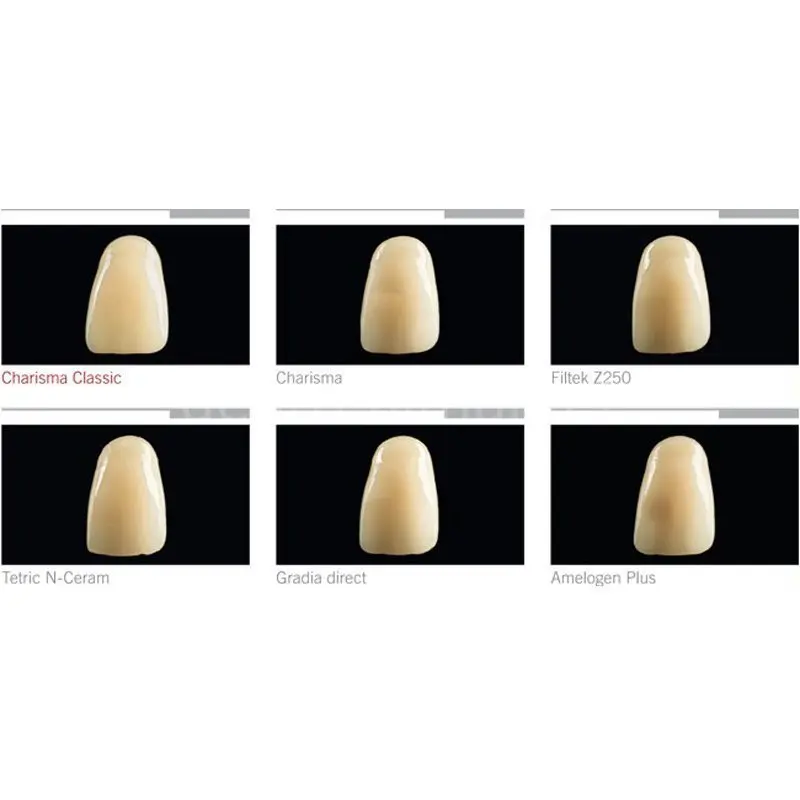 Kulzer - Charisma Klassische Microglass Composite 4g