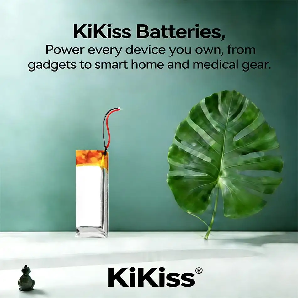 Mp3 Player Battery …