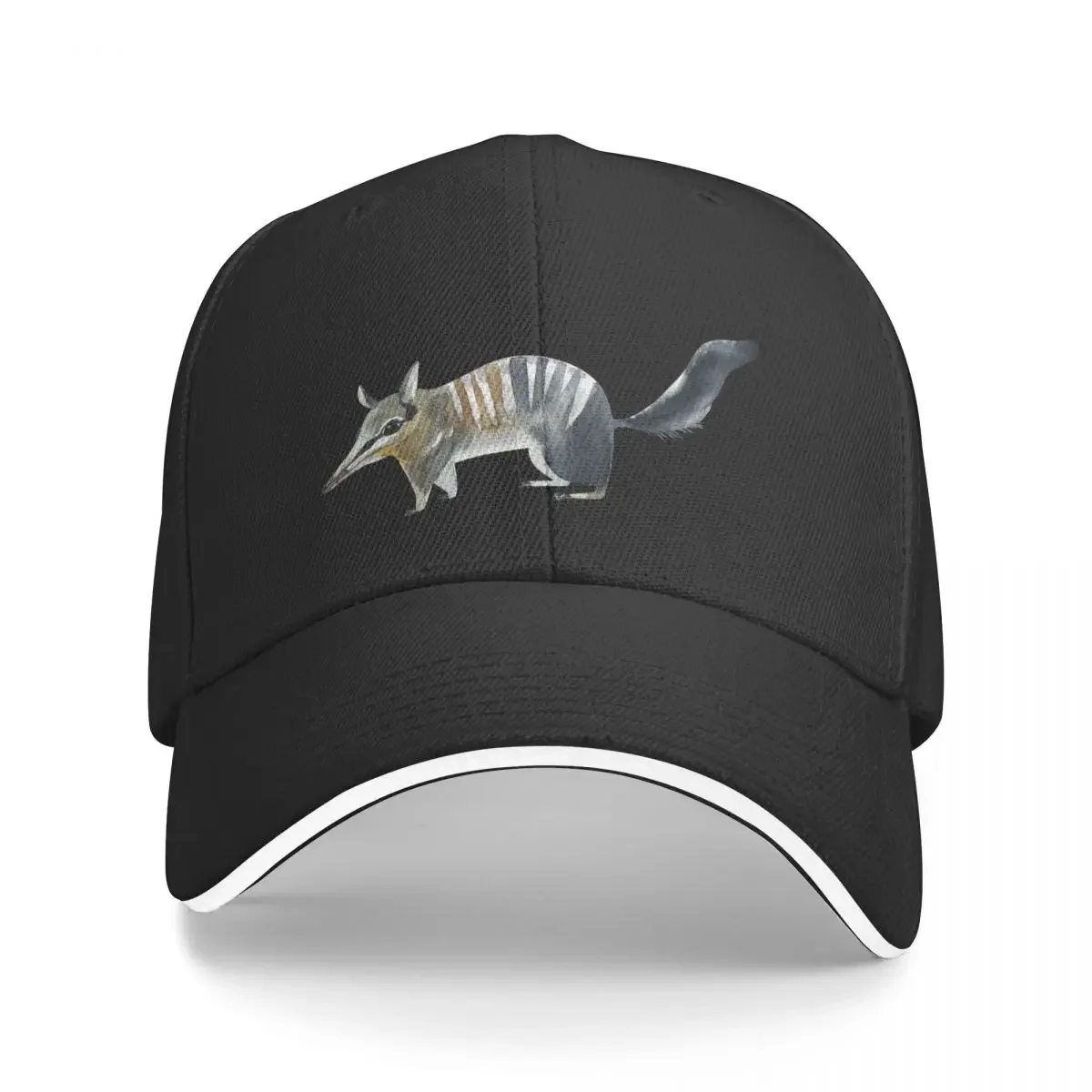 

Cute Numbat Watercolor, Best Gift Idea For Numbat Dad, Numbat Art Lover,Numbat Mom, Numbats lover Baseball Cap