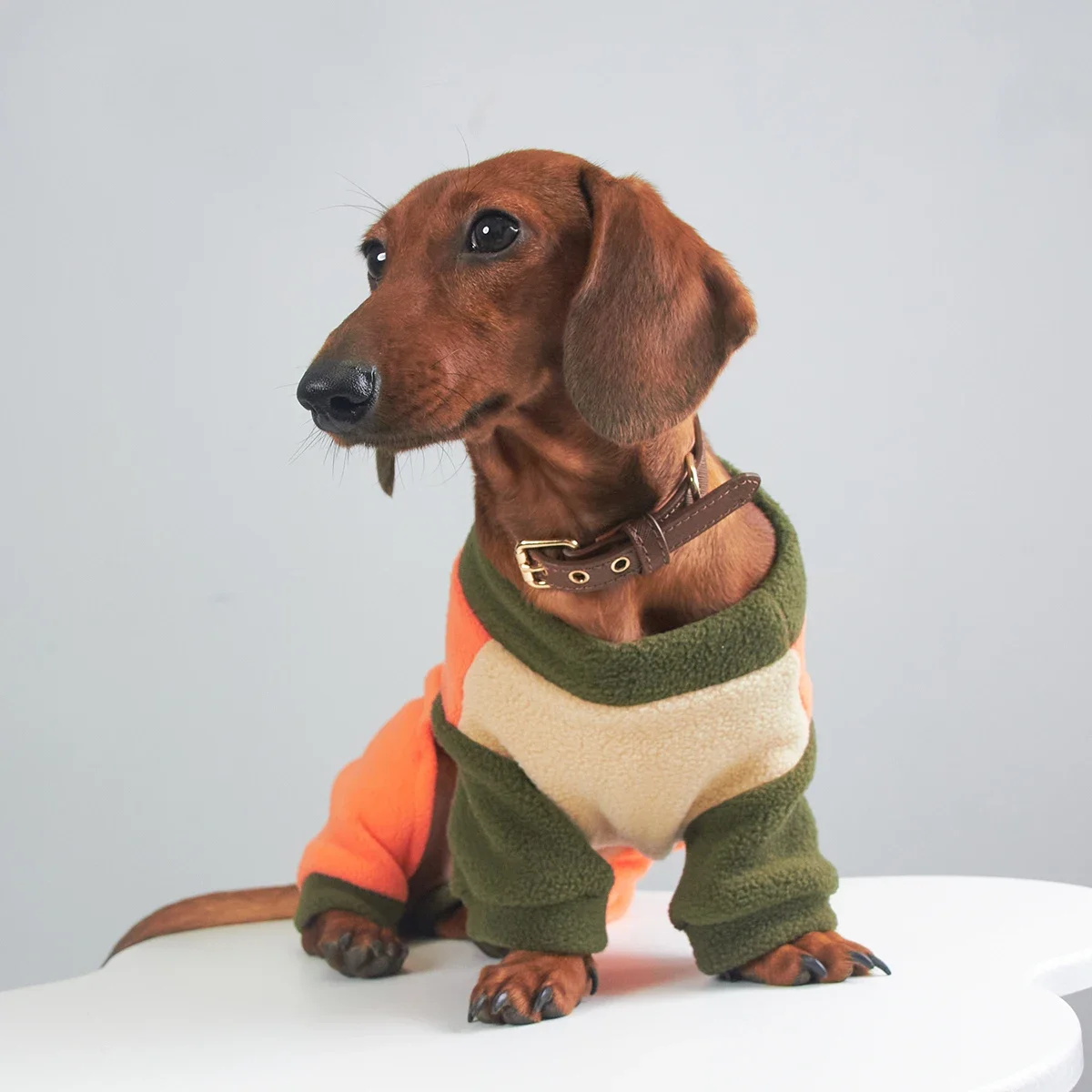 Patchwork Fleece T-shirt for Wiener Dogs in Autumn Long Sleeves Pajamas Soft for Sausage Dogs Warm Coat for Dachshund in Winter
