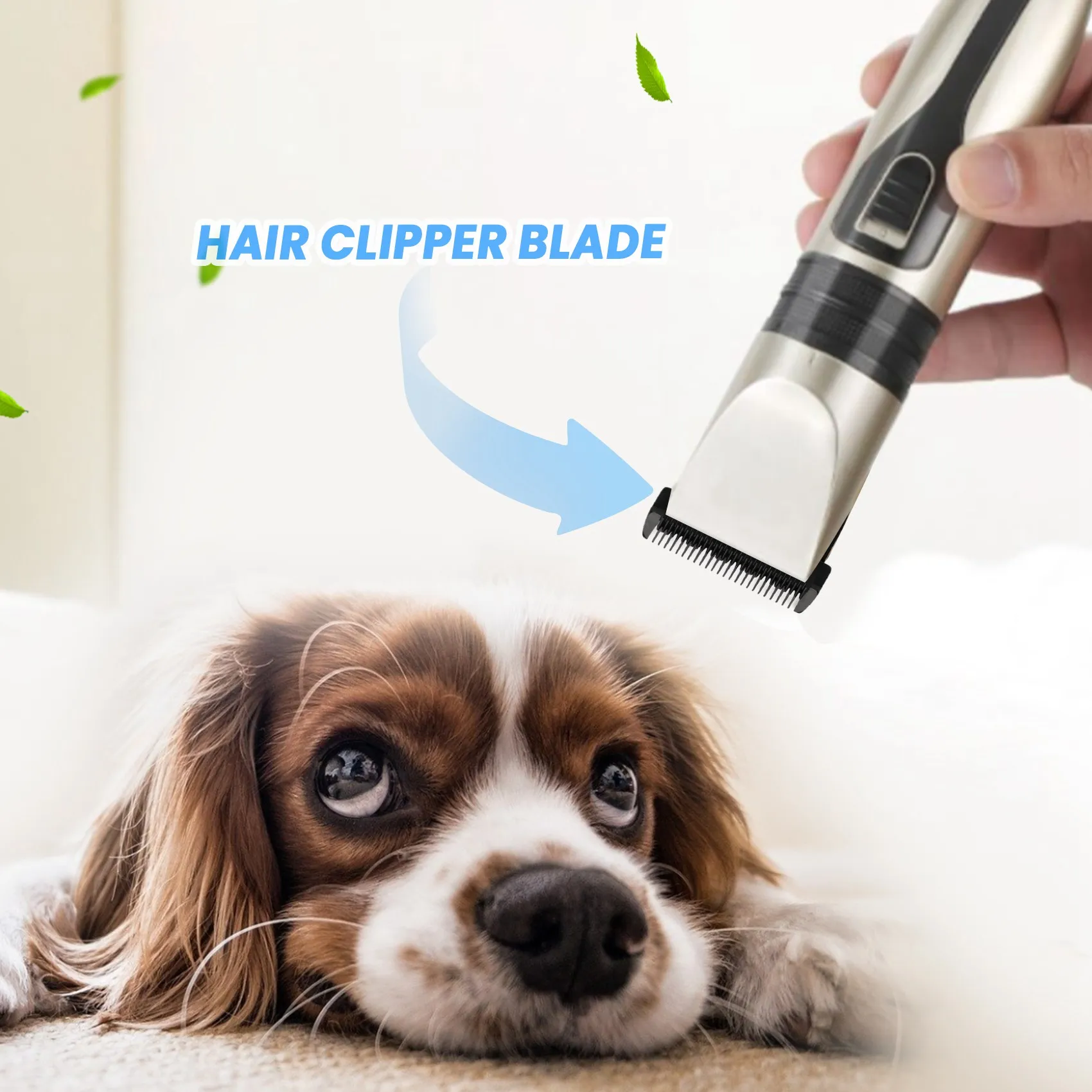 High Quality Black Ceramic Titanium Knife Pet Dog Hair Trimmer Blade Clipper Head for BaoRun P2 P3 P6 P9 S1 LILI ZP-295 ZP-293 4