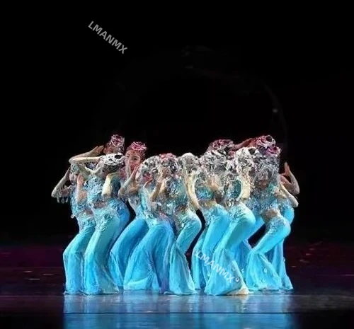 Neues Dai Fish Singing Mermaid Tanzkleid Fish Joy Little Fish Performance Kleid