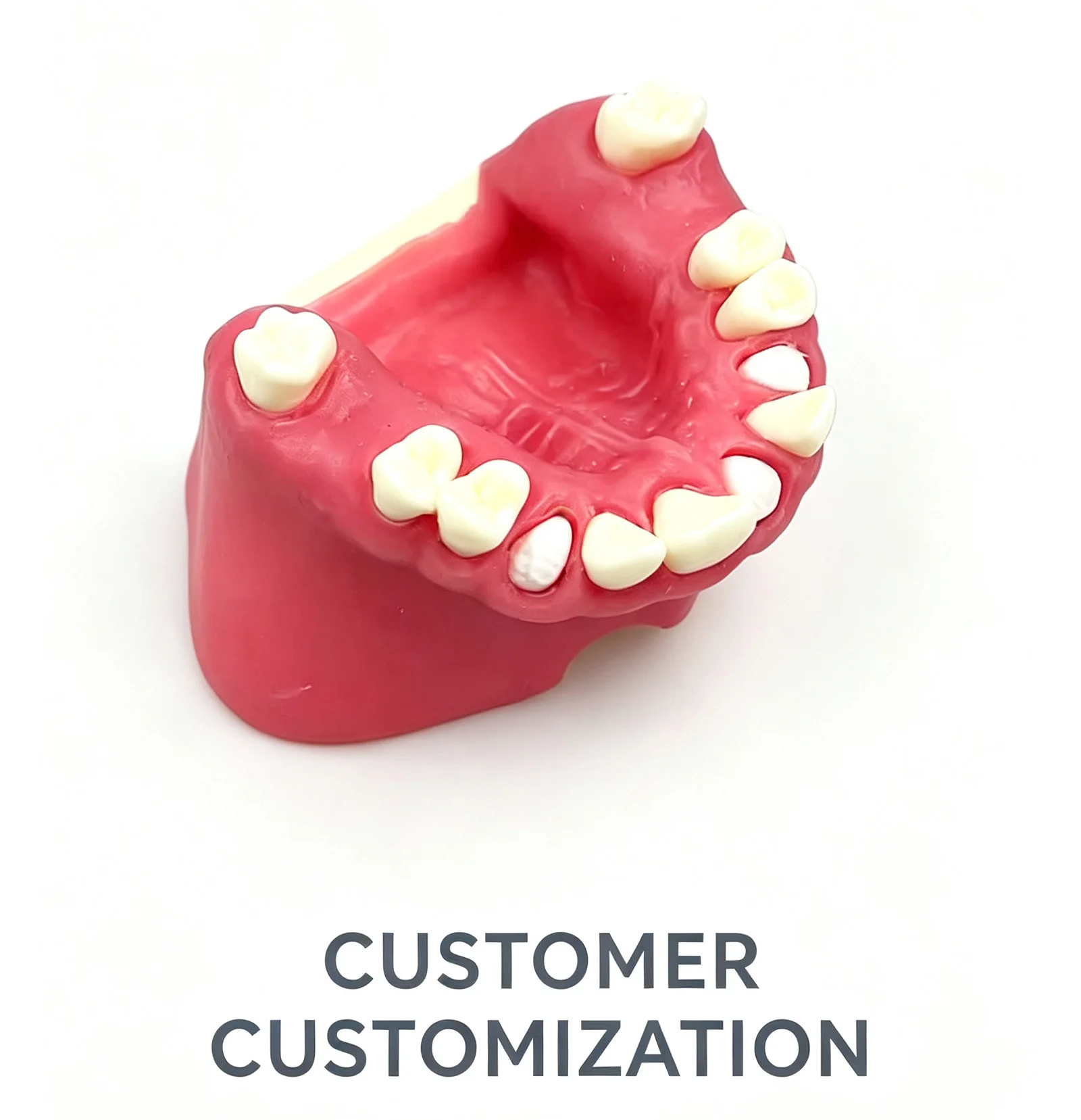 Dental Socket Shield Training Model, Maxillary Sinus Lift Implant Practice Model with Removable fast shipping