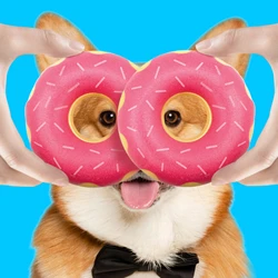 Rubber donut dog toy with functions of grinding teeth, cleaning teeth, interactive companionship, relaxation, and vocalization