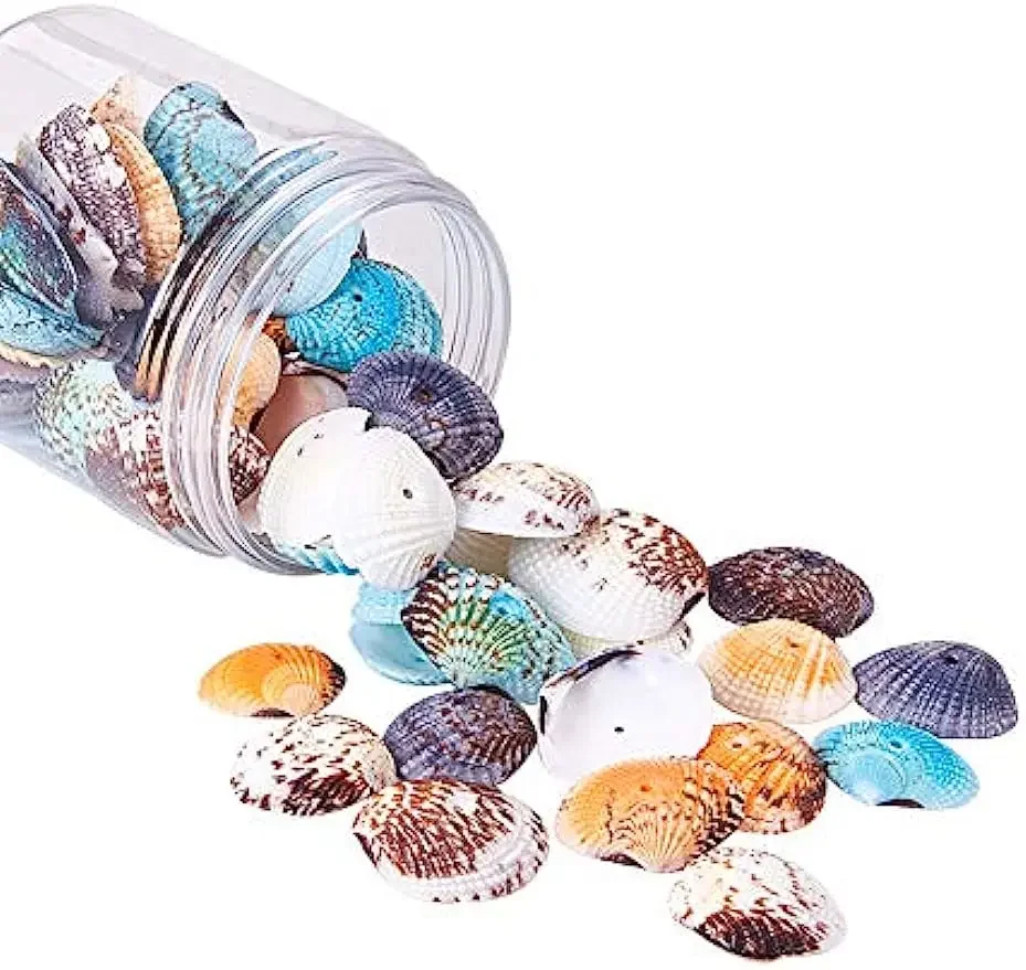 

50~56pcs Dyed Natural Conch Shell Beads Drilled Tiny Scallop Sea Shells Ocean Beach Seashells Craft Charms for Candle Making