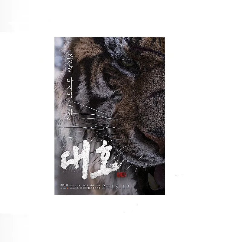 6Style Choose The Tiger Movie Art Print Canvas Poster, Living Room Decor