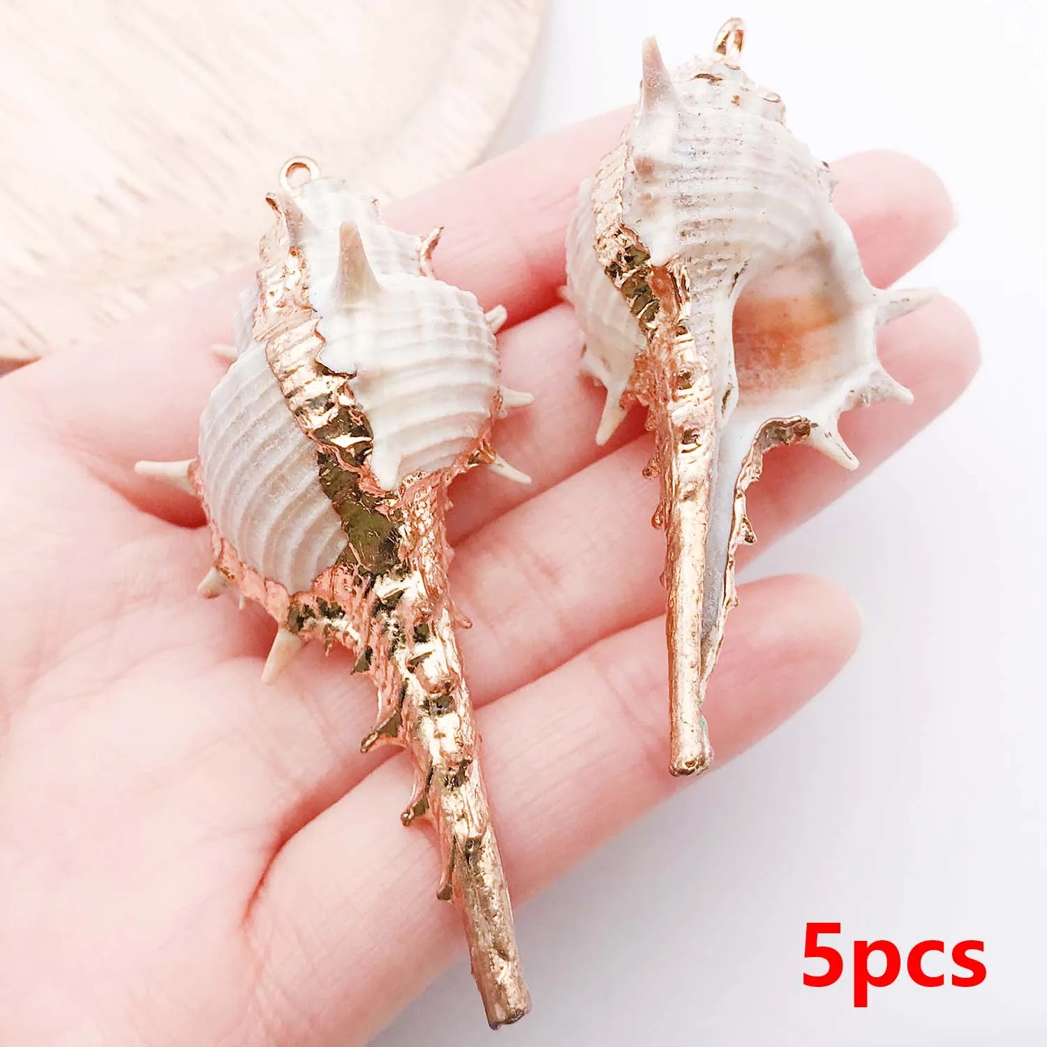 5pcs Natural Seashell Charms for DIY Jewelry Making