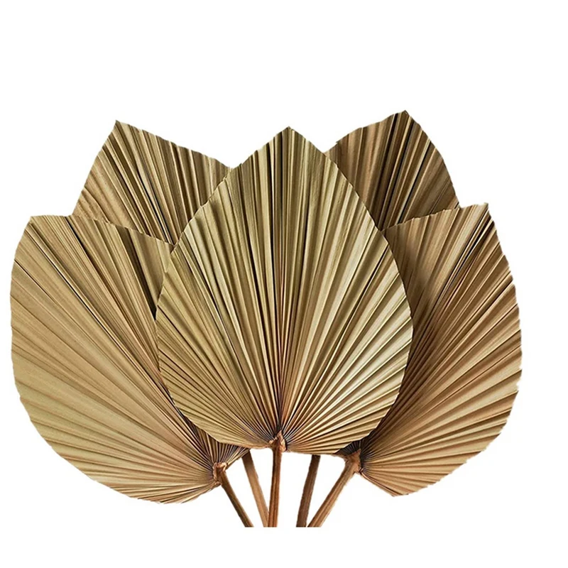 

Dried Palm Leaves Room Decor 15 Pieces - 18Inch H X 10Inch W Large Natural Palm Leaf Decor For A Beautiful Boho Look