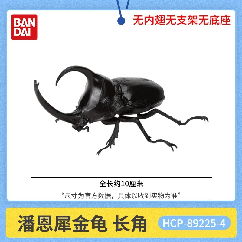 In Stock  BANDAI Gashapon  The Diversity of Life on  Lucanidae Allomyrinadichotoma   Model GACHA TOYS Big Biological Map Of