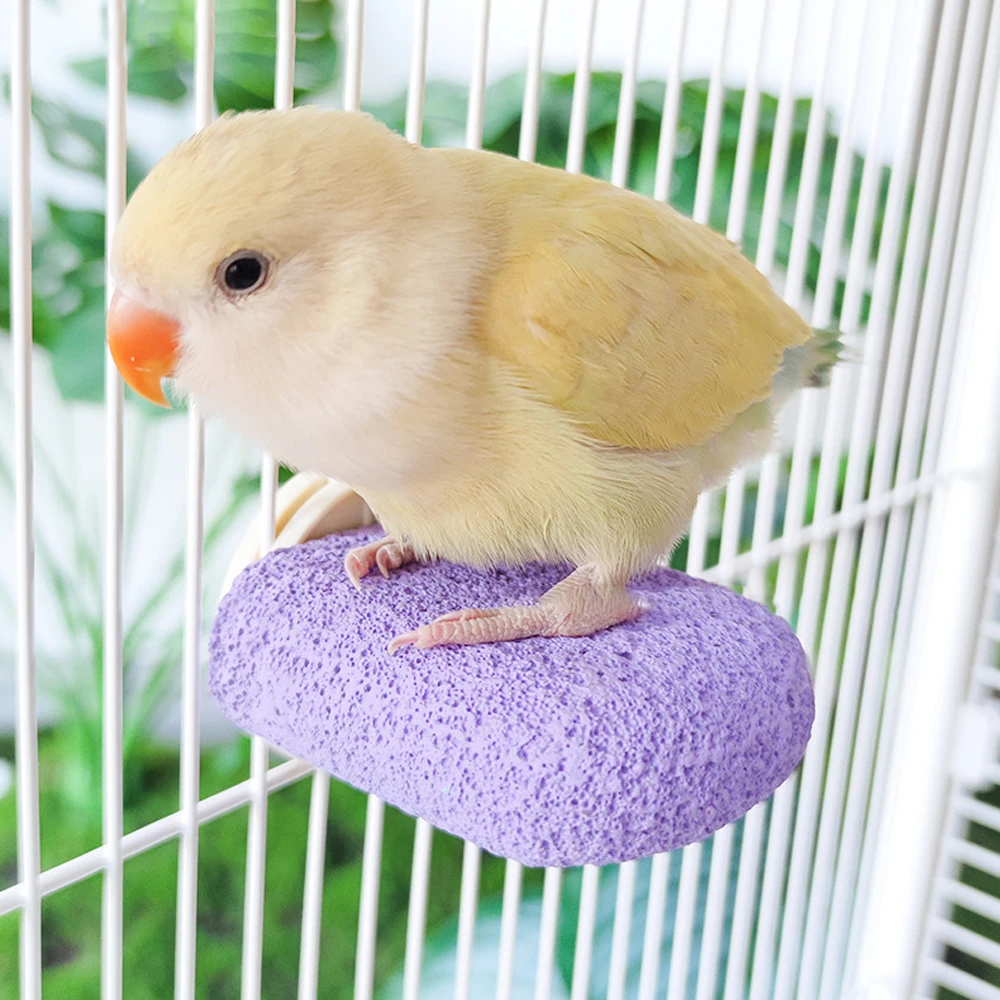 Bird Stand Toy for Parrot Squirrel Hamster Calcium Milk Molar Platform Board Parrot Jumping Platform Grinding Stone Chew Toy