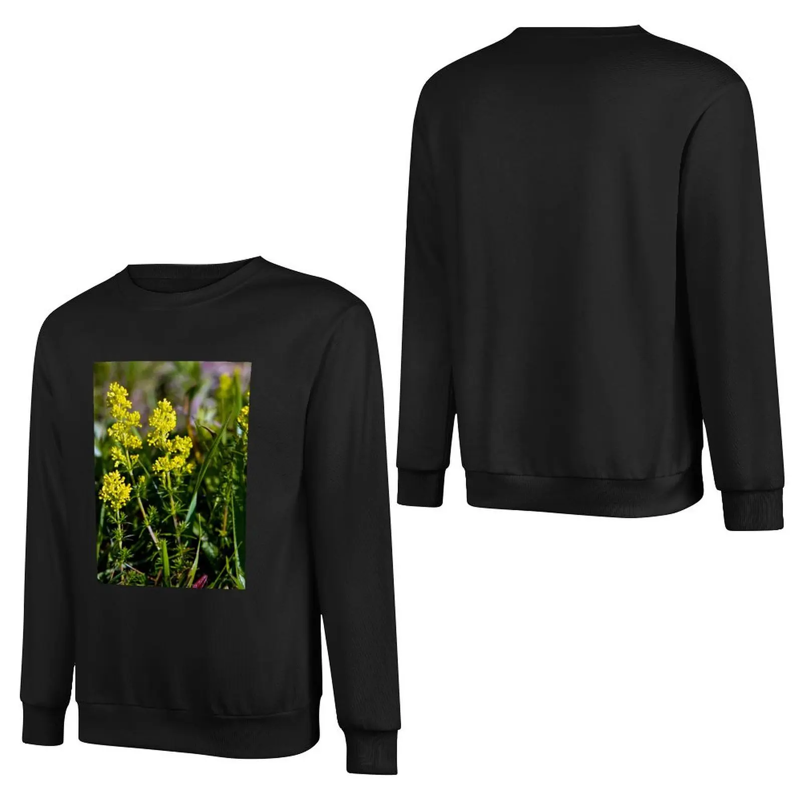 Galium Verum (Lady’s Bedstraw), Inishmore, Aran Islands Pullover Hoodie mens clothes graphic t shirts men men's sweatshirt