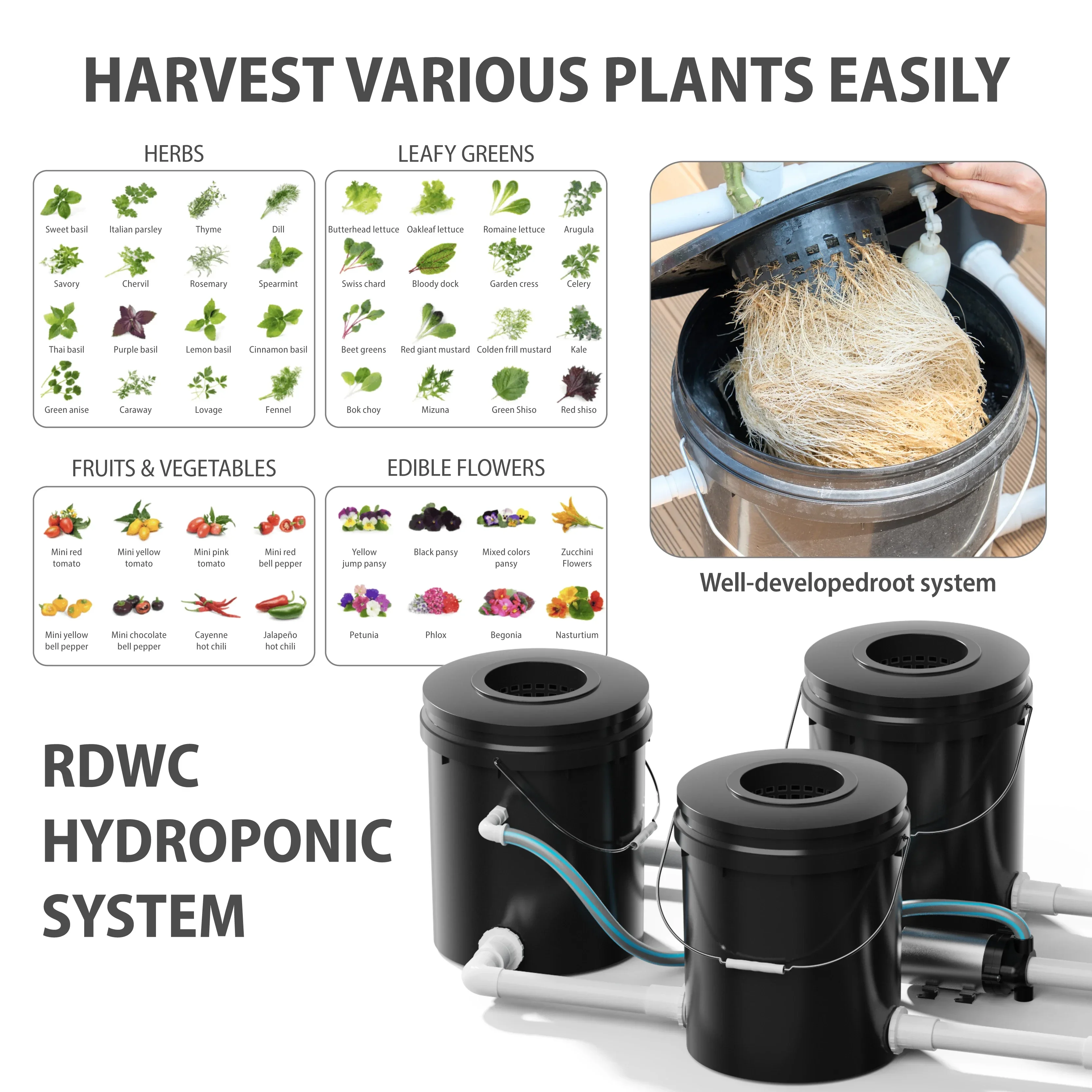 Ogrodnictwo Nawadnianie Sadzenie Aeroponika Kloner Ogród Aeroponic Verticel System Czarne wiadro holenderskie Pojemnik hydroponiczny