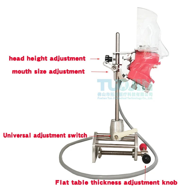 Prosta głowa Model Dental Simulator Phantom Head dla dentysty edukacja dentysta nauczanie/głowa Model Phantom do treningu Apparatu