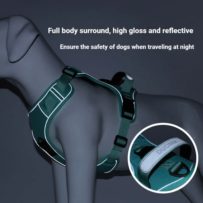 Dog Harness Collar Leash Puppy - Pet Supplies Locations recension och pris