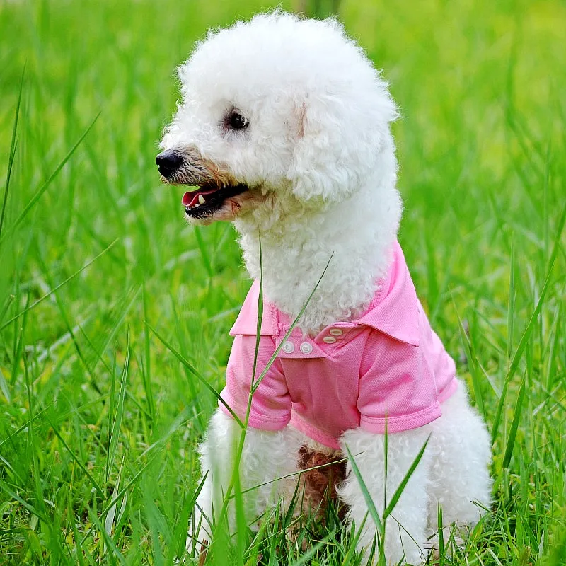 Luxury Dog Shirt for Small Dogs Summer Dog Polo Shirt Cute Soft Puppy Clothing Solid Cat Shirt Chihuahua Dog Clothes Pet Costume