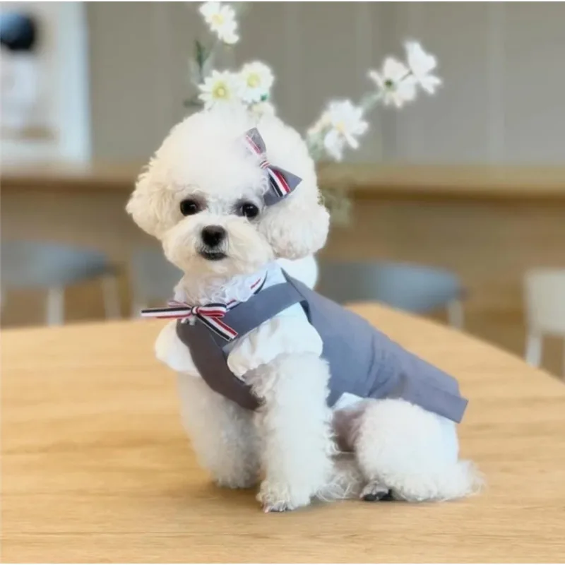 Flocking Print Dog Dresses Sweet Girl Style Pet Beach Dress Fashionized Design