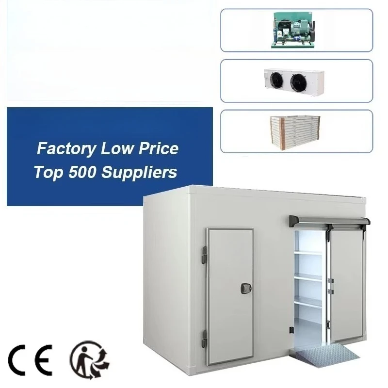 Customized Industrial Walk In Freezer Cold Storage Room Complete Cooling Chiller System For Commercial Food Preservation