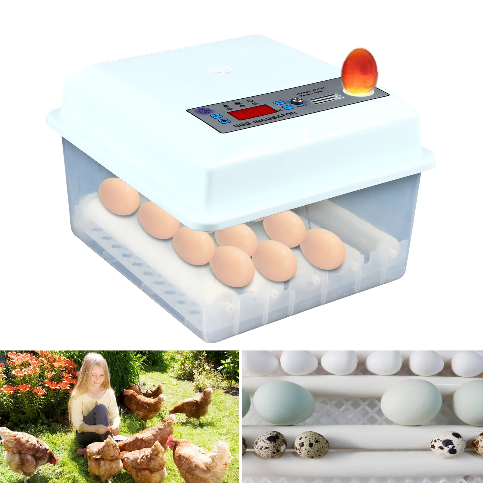 

Fully Automatic Egg Incubator 16 Eggs Digita Mini Automatic Incubatores with Turner for Hatching Turkey Goose Quail Chicken Eggs