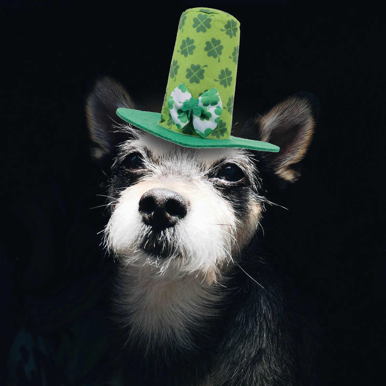 

Pet Hat Costume Dog Birthday for Hats Multifunction Small Caps Green Puppy Party