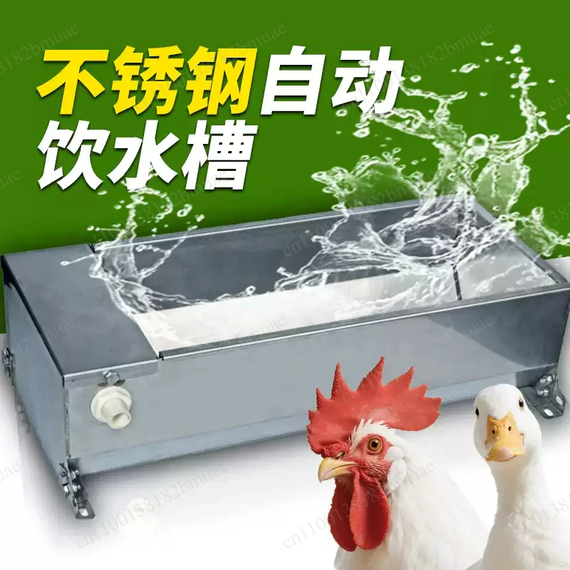 Automatic Water Dispenser for Chickens, Rectangular, Stainless Steel Water Trough, Large Capacity