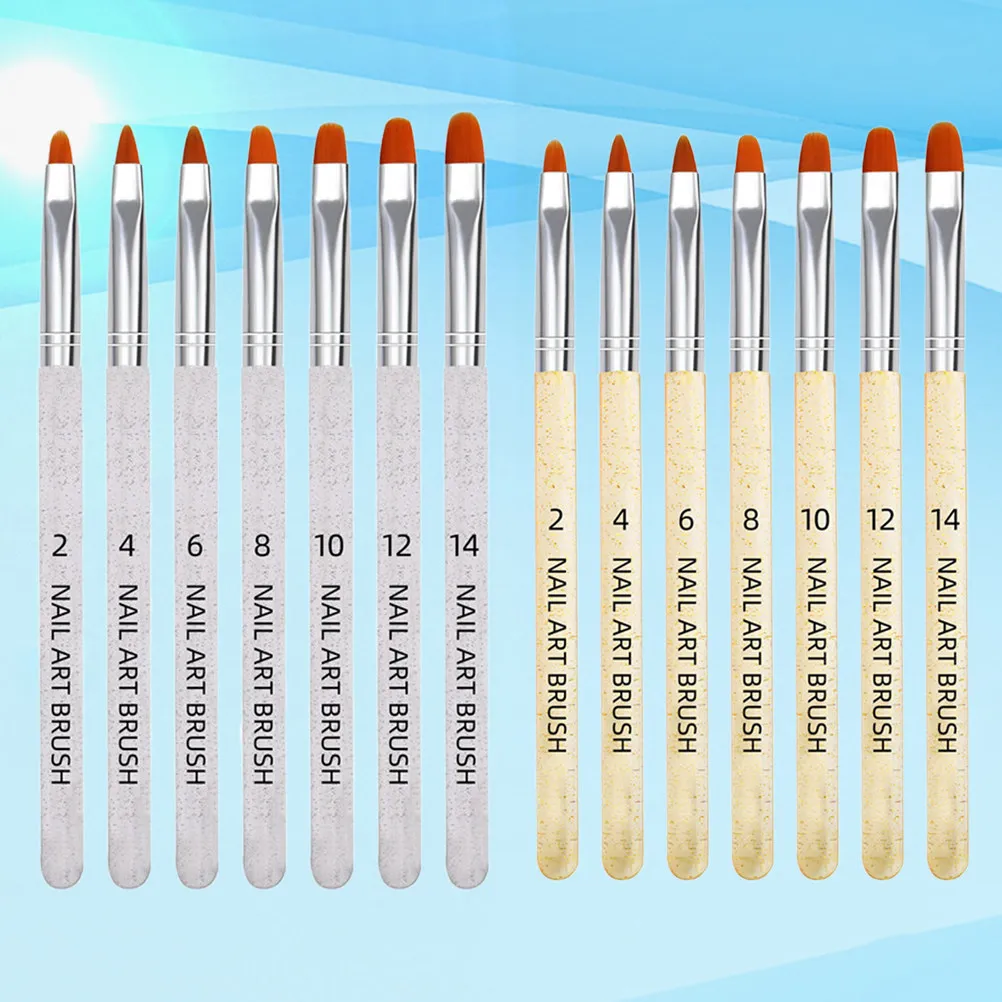 

14Pcs Nail Art Brush Kit Transparent Golden Nail Dotting Pen Fine Detail Painting Tool Manicure Accessories for Professional