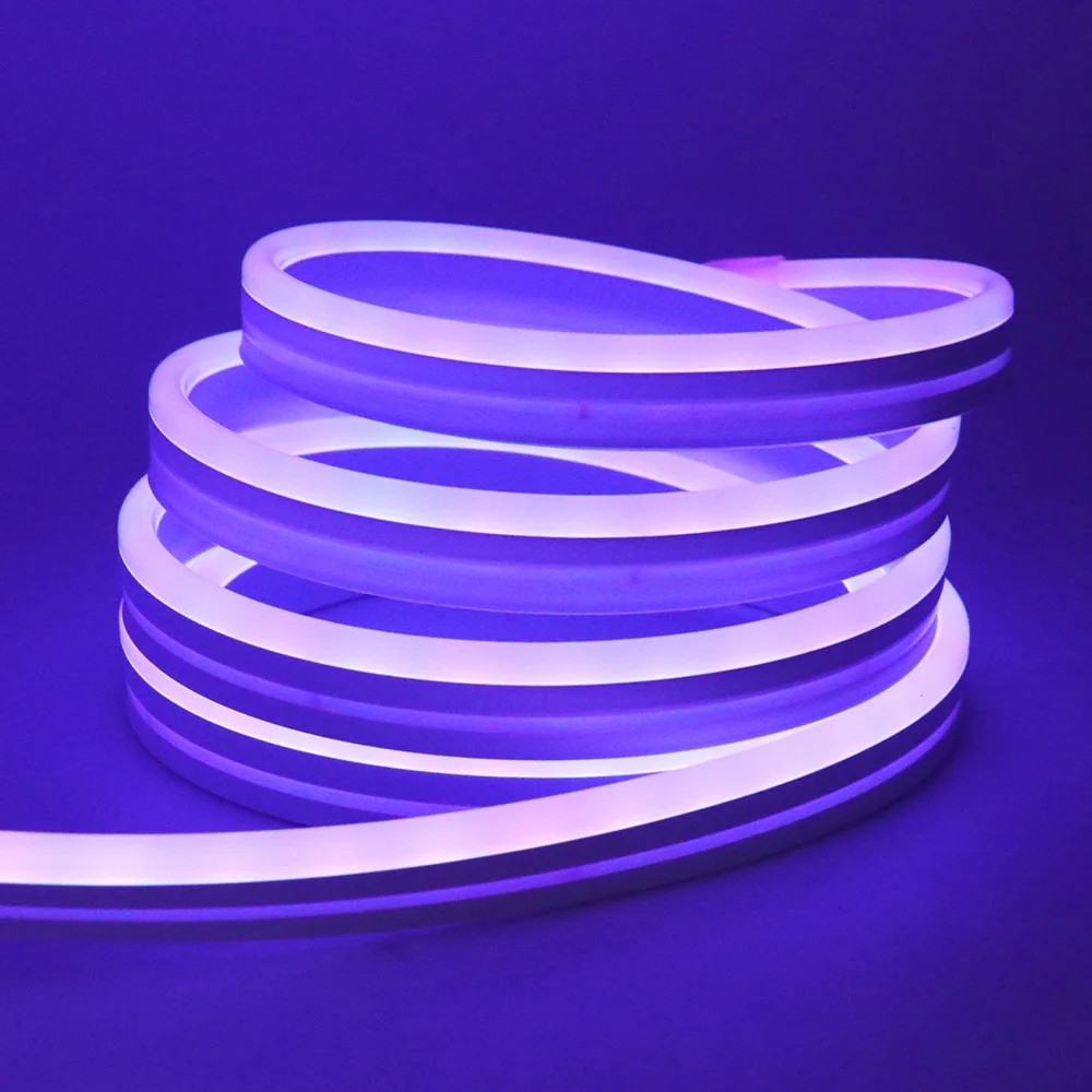 EU-Stecker DC24V 3535 RGB Neon LED-Streifen 5/10/15/20/30M Bluetooth Musik-Sync Wasserdichtes Neon-Seil-Licht für Innen- und Außendekoration – Detail 23