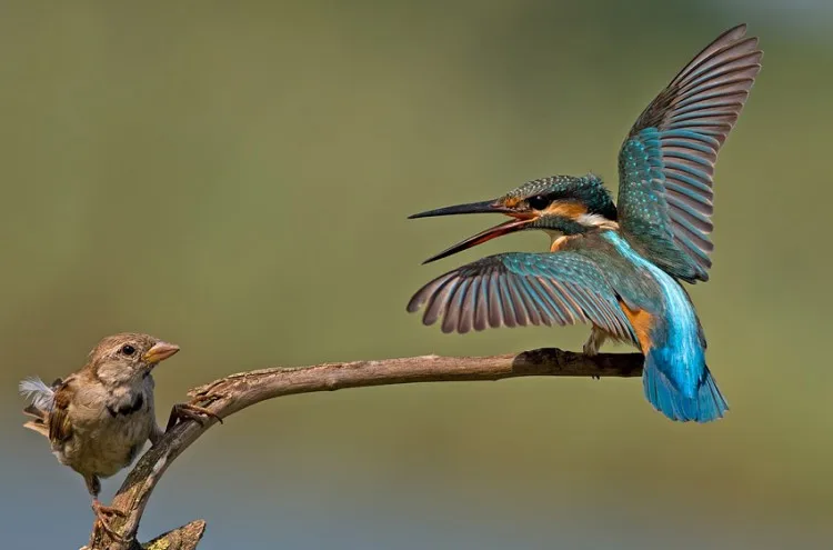 

Металлическая ось-редуктор для WPL B14 B24 B-24 C14 C24 C-24 B16 B36 Q60 1/16 RC: Запасные части, передняя и задняя ось с металлическими шестернями