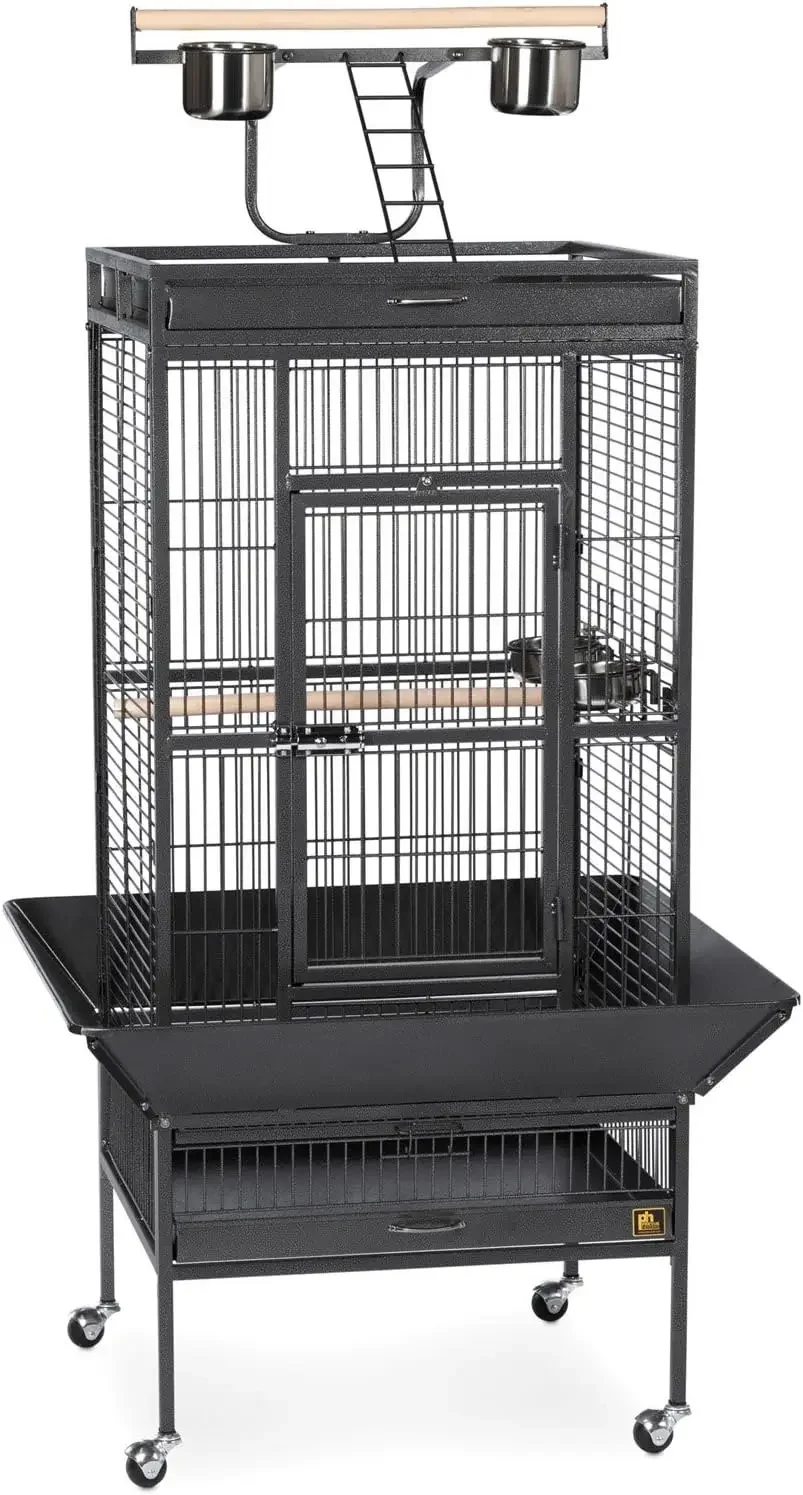 Pet Products Wrought Iron Select Bird Cage 3153SAGE, Sage Green, 30-Inch by 22-Inch by 63-Inch