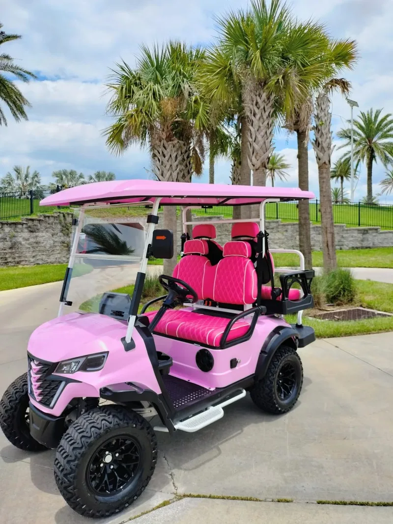 2025 Model 48V Electric Golf Cart for Off-road Vehicles Customized Farmer Vehicle by Manufacturer Golfcart
