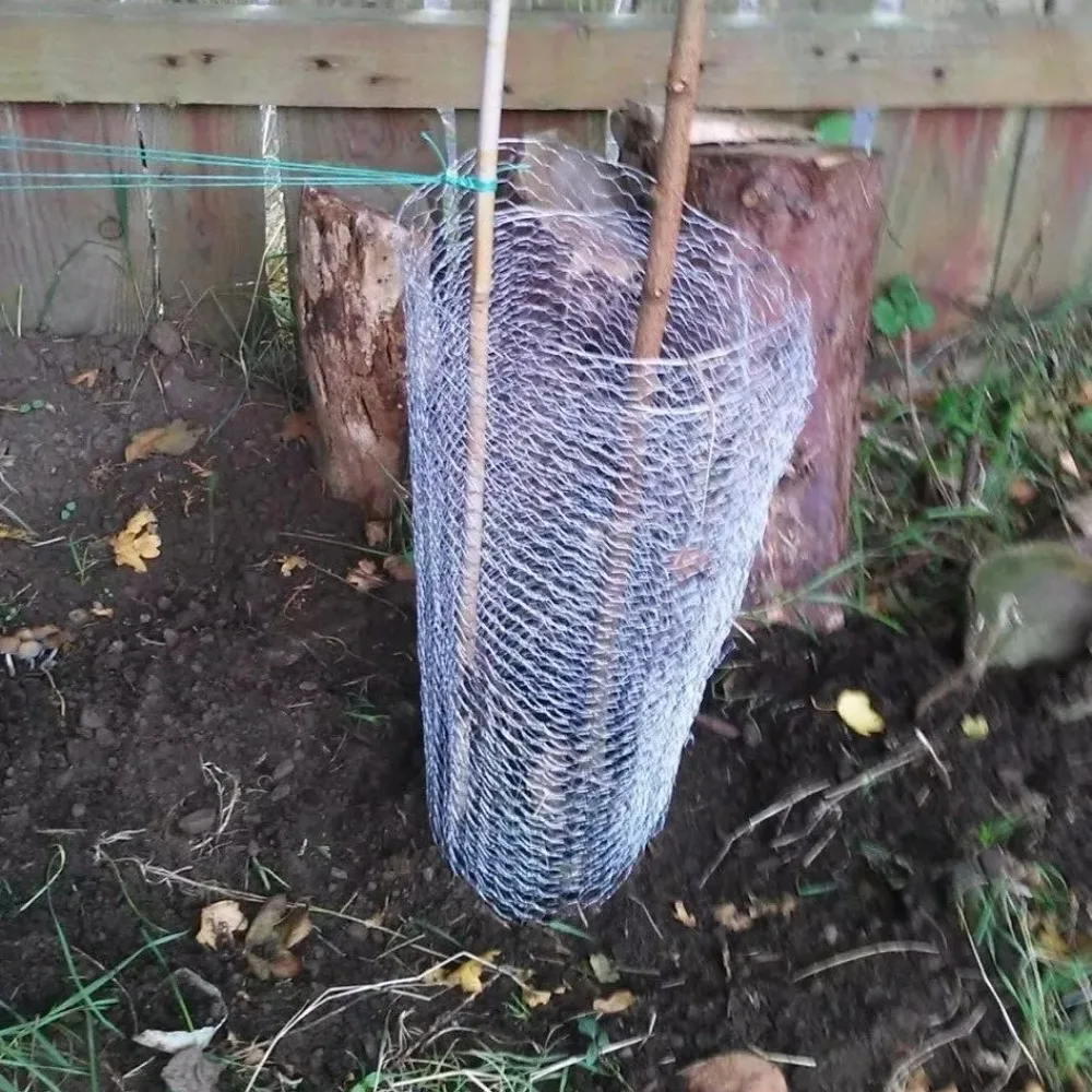 Hexagonal Chicken Wire Mesh Galvanised 0.1/0.35/0.4m Rabbit Fencing DIY Craft Wall Decoration Pet Wire Netting