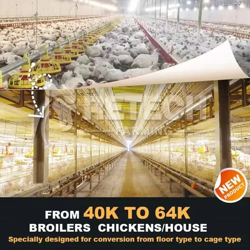 Retech Design Automatic Multi-layer Poultry Cages Equipment for Floor Farming Conversion to Broiler Cage