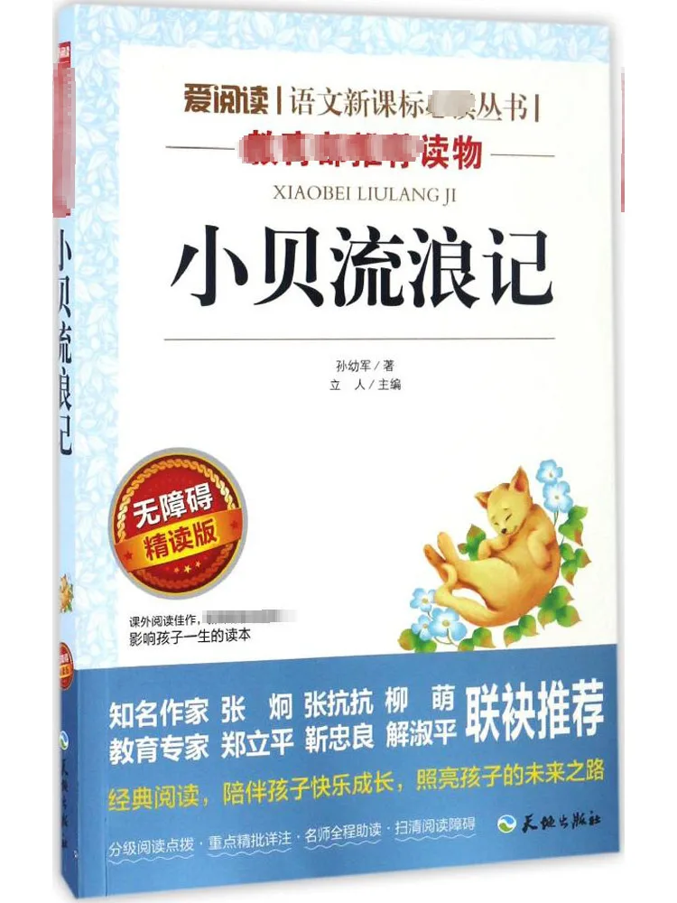 

Book-Winshare Beckham's Wanderings Accessible Intensive Reading Edition