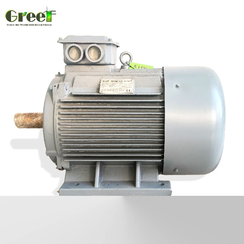 

500kw 300RPM 3 Phase Ac Low Rpm Permanent Magnet Synchronous Generator/ Low Speed Alternator