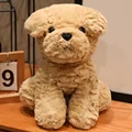 Teddy  nnx