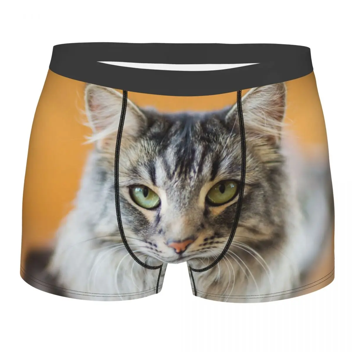 Large Cat Breed Men's Boxer Briefs Boxer Briefs Highly Breathable Underpants High Quality Print Shorts Gift Idea