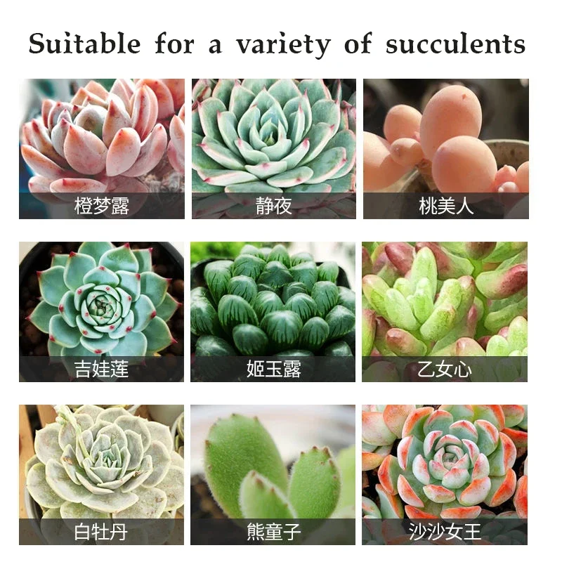 Succulent plant bursting element foliar fertilizer fattening, coloring, promoting growth, bursting buds, nutrient solution 500ml