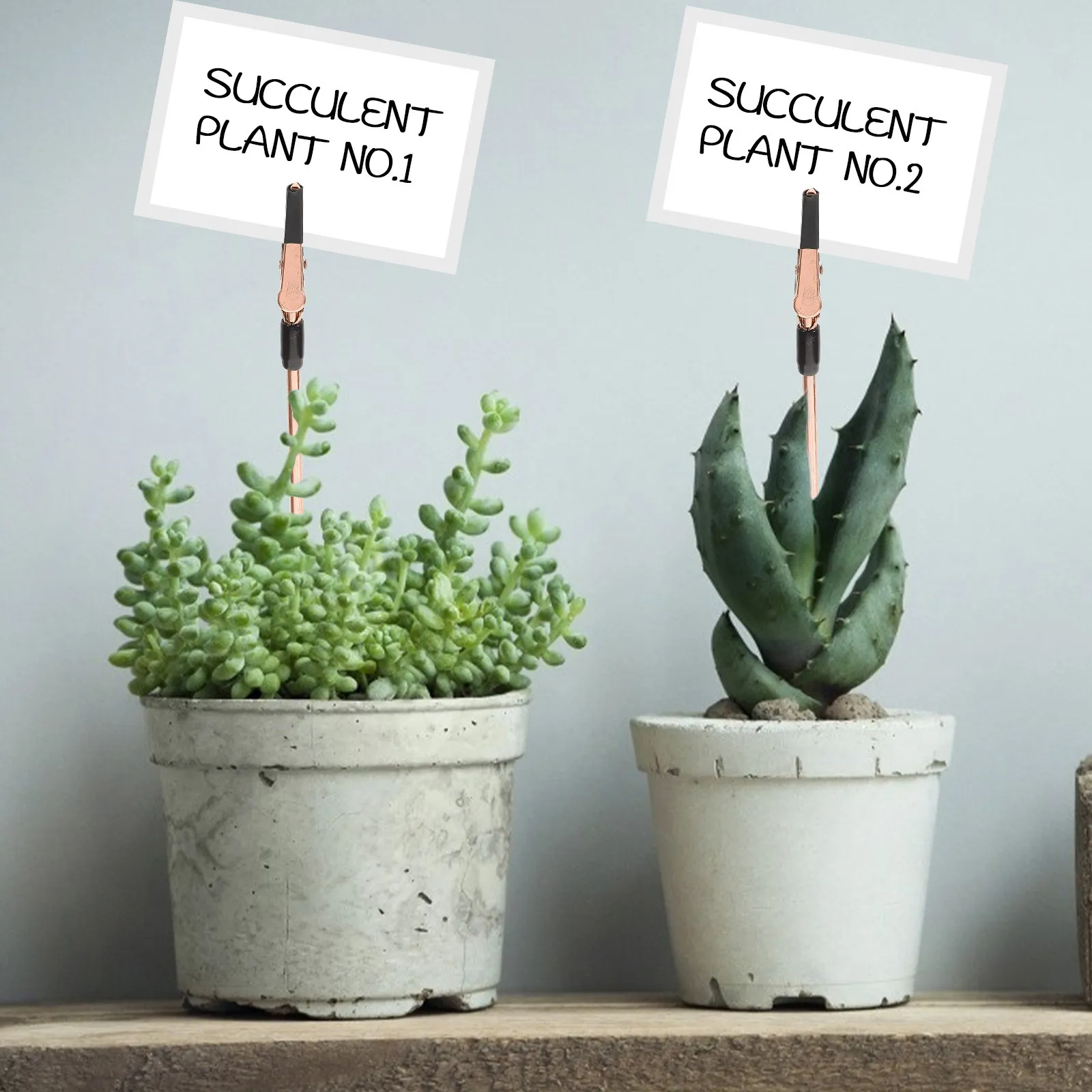 

2Pcs Jewelry Helper Bracelet Tool Metal Fastening Clamp for Easy Wearing Desktop Memo Clip Multi-Function Note Holder