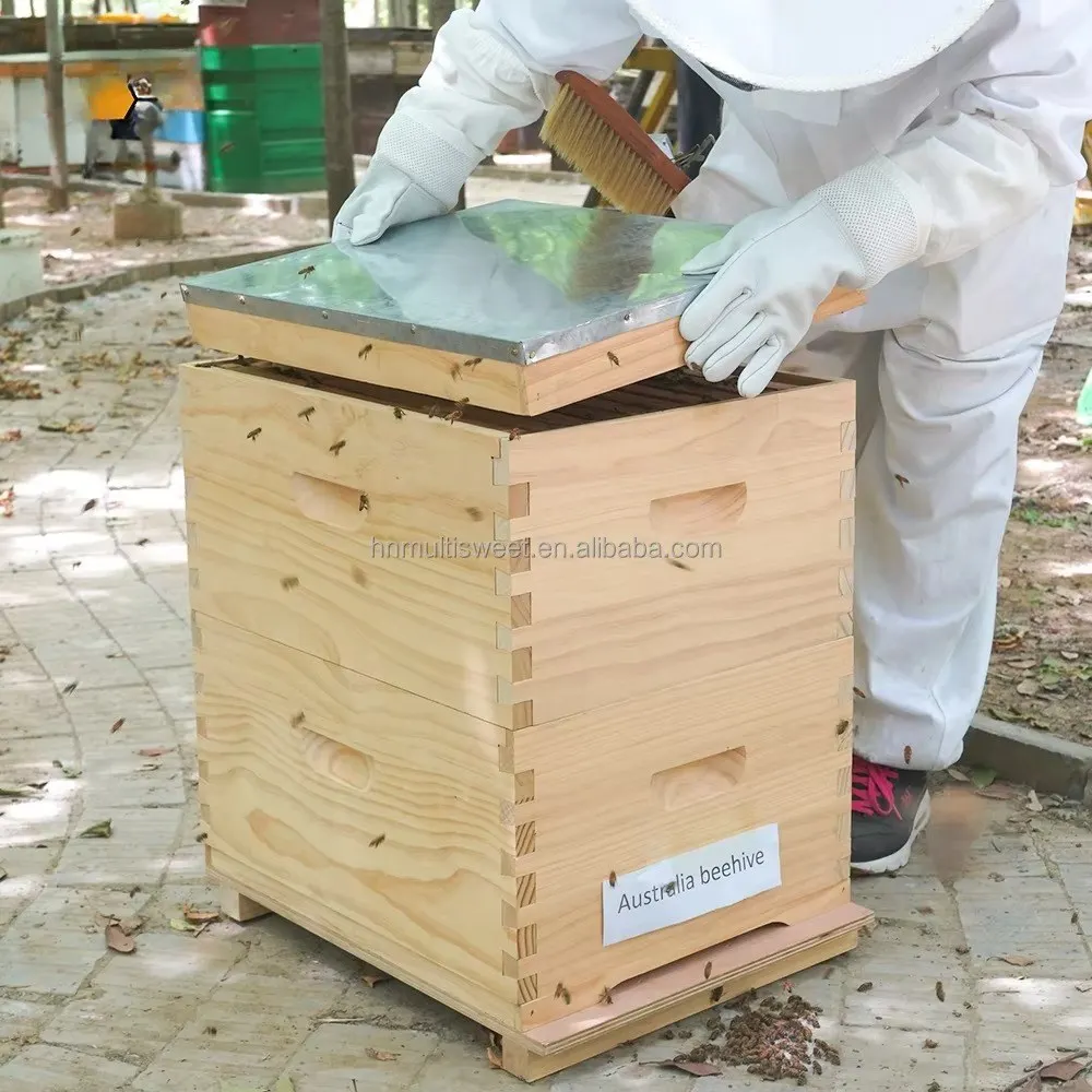 

Factory Supply Australian Beehive, Wooden Bee Hive Box with 8 & 10 Frames for Beekeeping