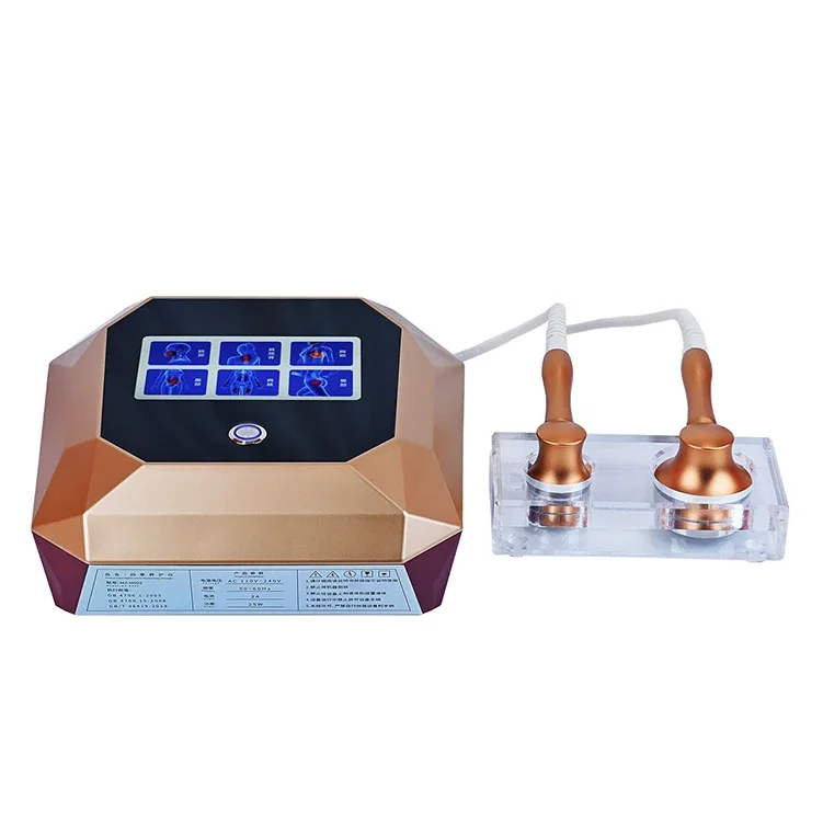 2024 New Physiotherapy Bioelectricity Human Personal Body Control Dds Massager From Factory