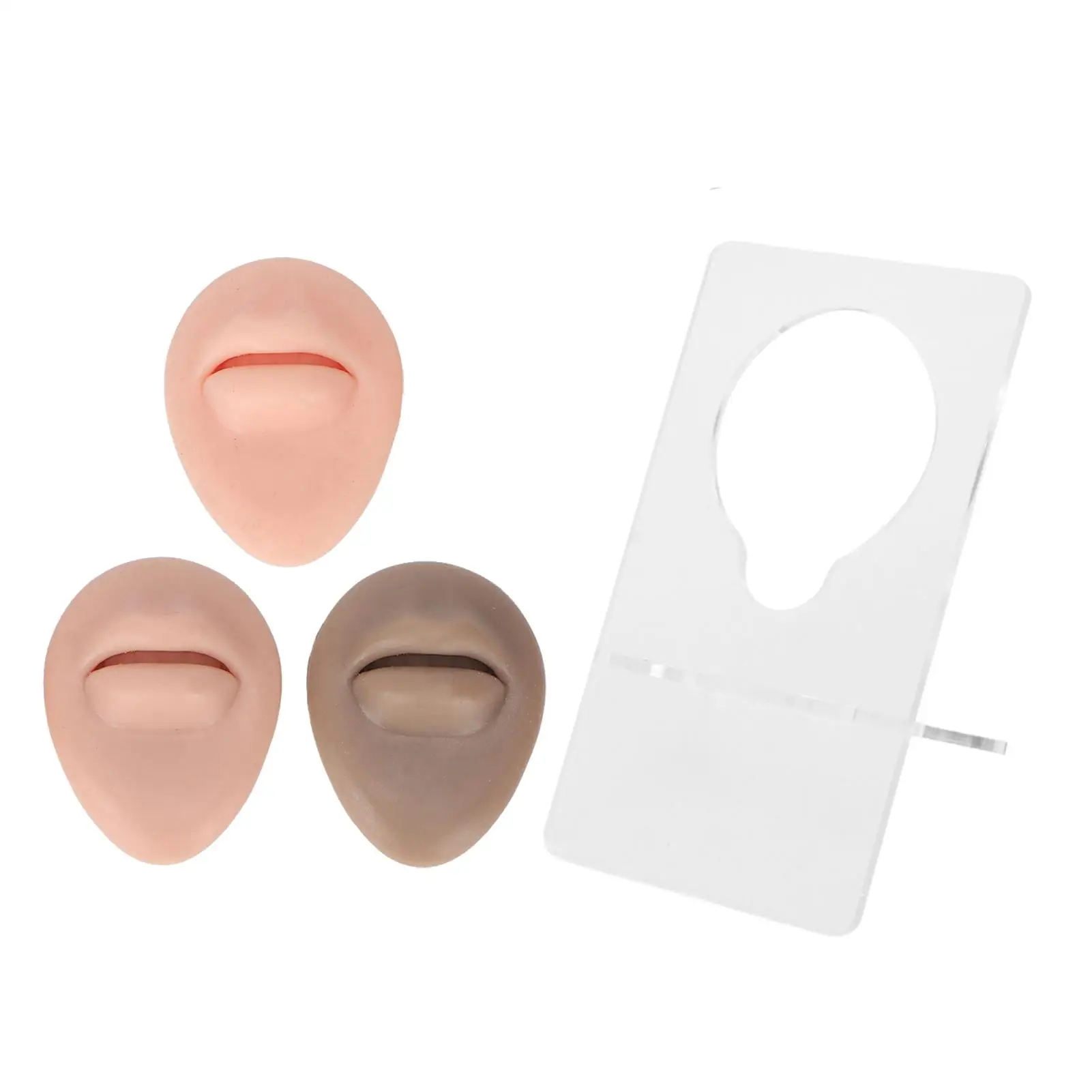 

3D Silicone Mouth Model Piercing Practice Teach Portable for novice