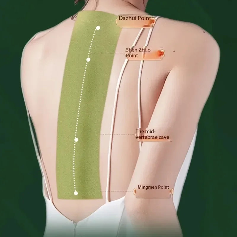 Du Mai Moxibustion Patch Extra Large Long Spine Breathable Whole Body Self Heating Herbal Pain Relief Lumbar Back Men Women