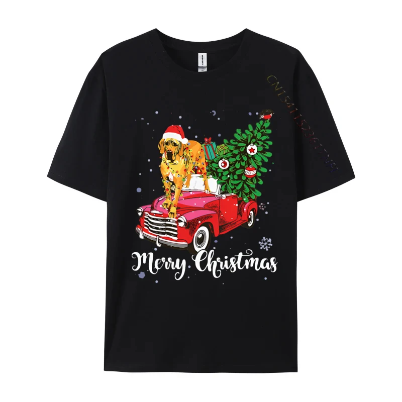 

Gothic Merry Christmas Great Dane Santa Light T Shirt Tops & Tees For Adult Plain Cotton Youthful T Shirts