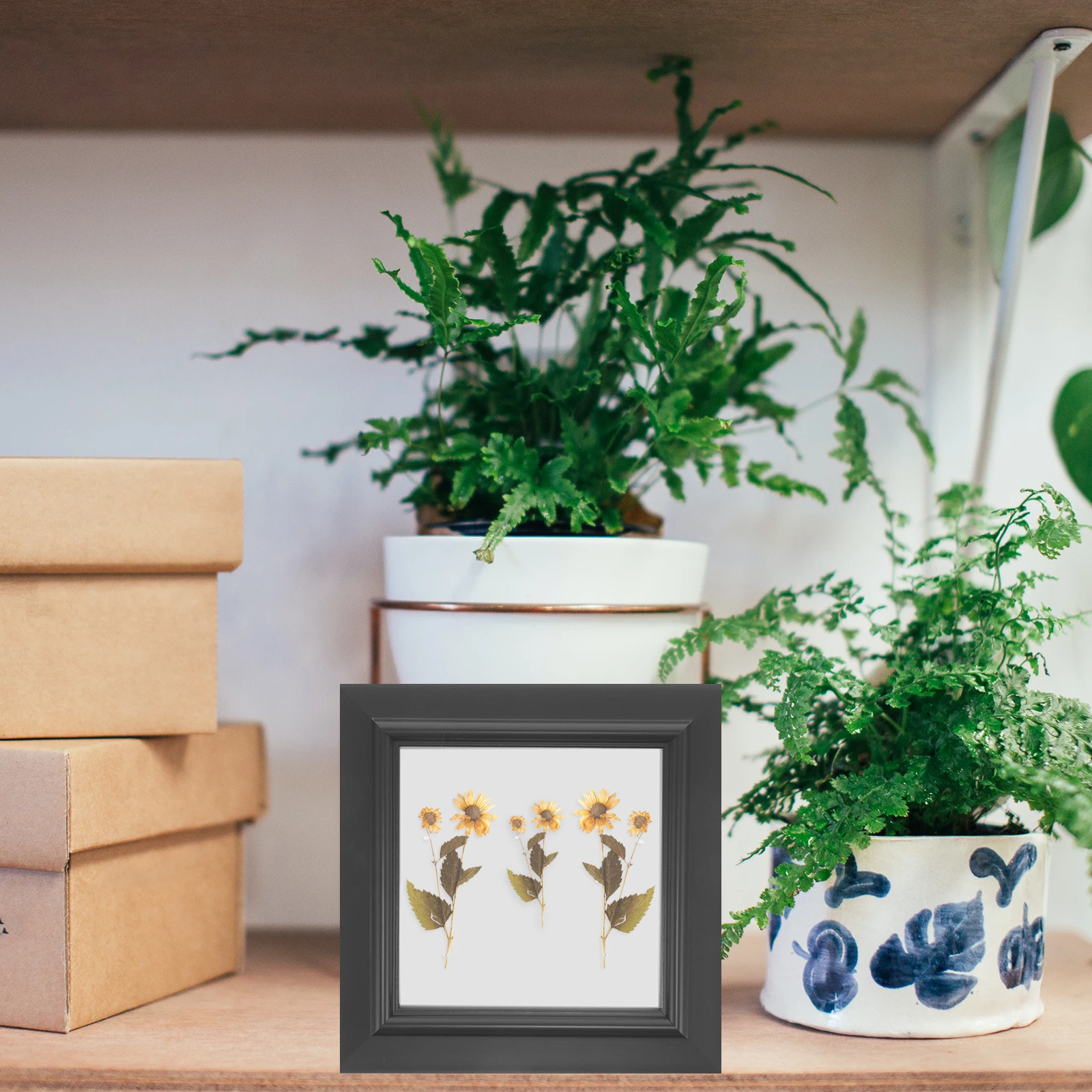 

Three-dimensional Photo Frame Botanical Specimen Handmade Flower Display Stand Press Picture Dried Flowers