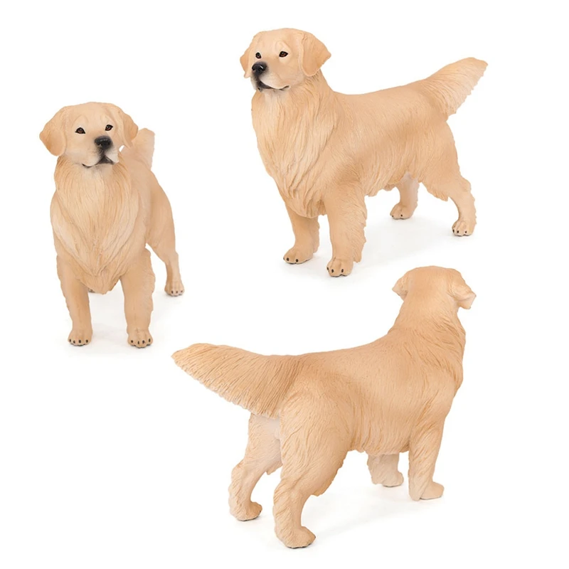 Simulation Animal Dog Model Big Golden Retriever Pet Dog Science Education Models Childrens Gift Toys